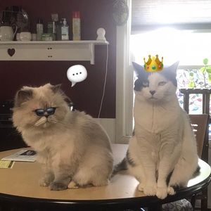 Meet your Posher, Aaron